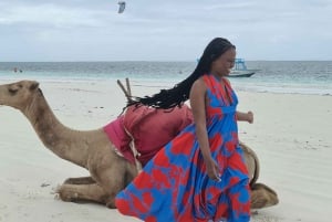 DIANI: KAMELRITT AM STRAND
