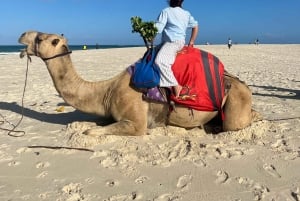 DIANI: BEACH CAMEL RIDE