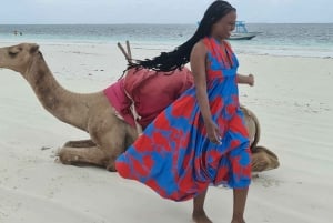 DIANI: BEACH CAMEL RIDE
