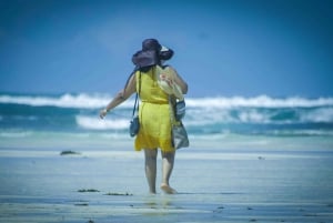 Diani Beach: Glass-Bottom Boat Cruise to Robinson Island