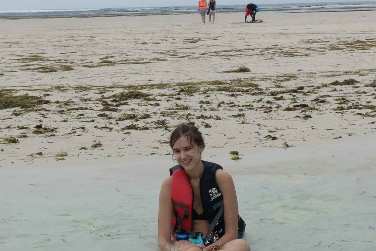 Diani Beach: Tour in barca con fondo di vetro, snorkeling e Sun Bank