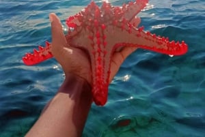 Diani Strand: Glazen Bodem Boot, Snorkelen & Zonnebank Tour