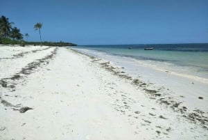 Diani Strand: Glazen Bodem Boot, Snorkelen & Zonnebank Tour