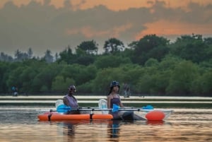 Diani Beach: wyprawa kajakiem ze szklanym dnem