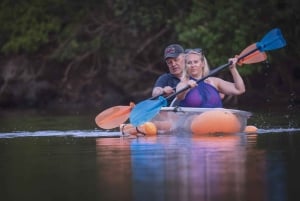 Diani Beach: wyprawa kajakiem ze szklanym dnem