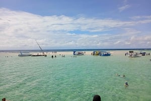 Diani Beach: Jetski-tur med fantastiske billeder