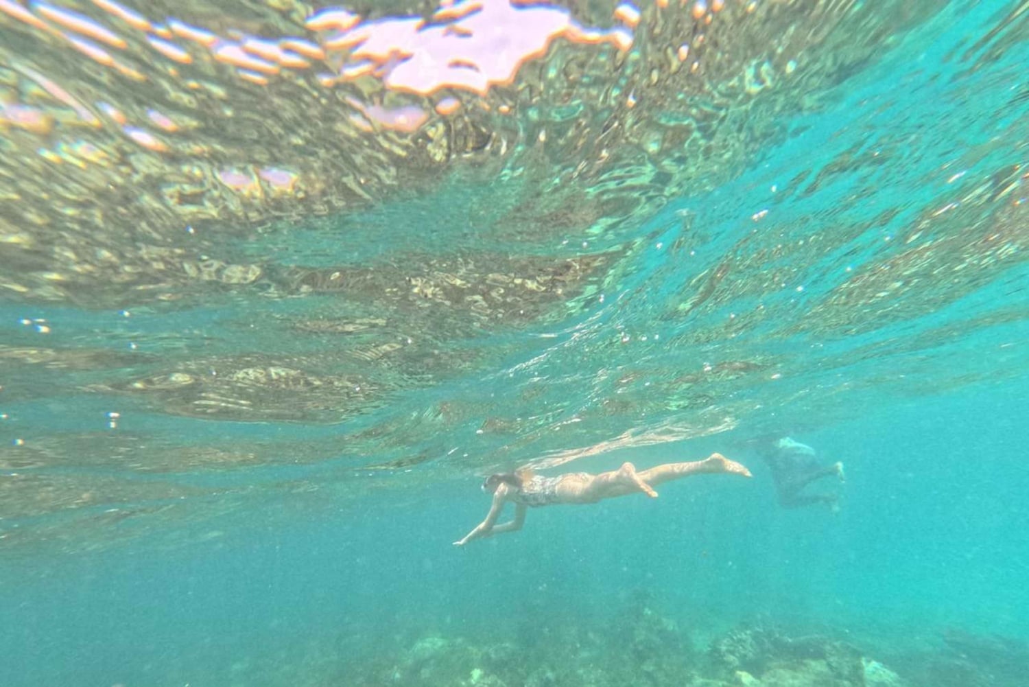 Diani Beach: Tagestour zum Kisite Marine Park & zur Insel Wasini