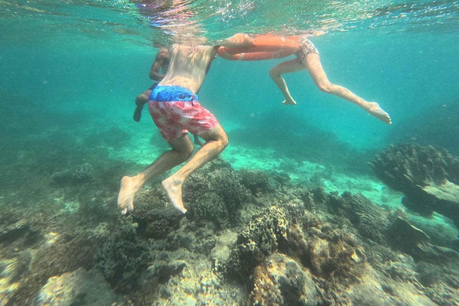 Diani Beach: Tagestour zum Kisite Marine Park & zur Insel Wasini