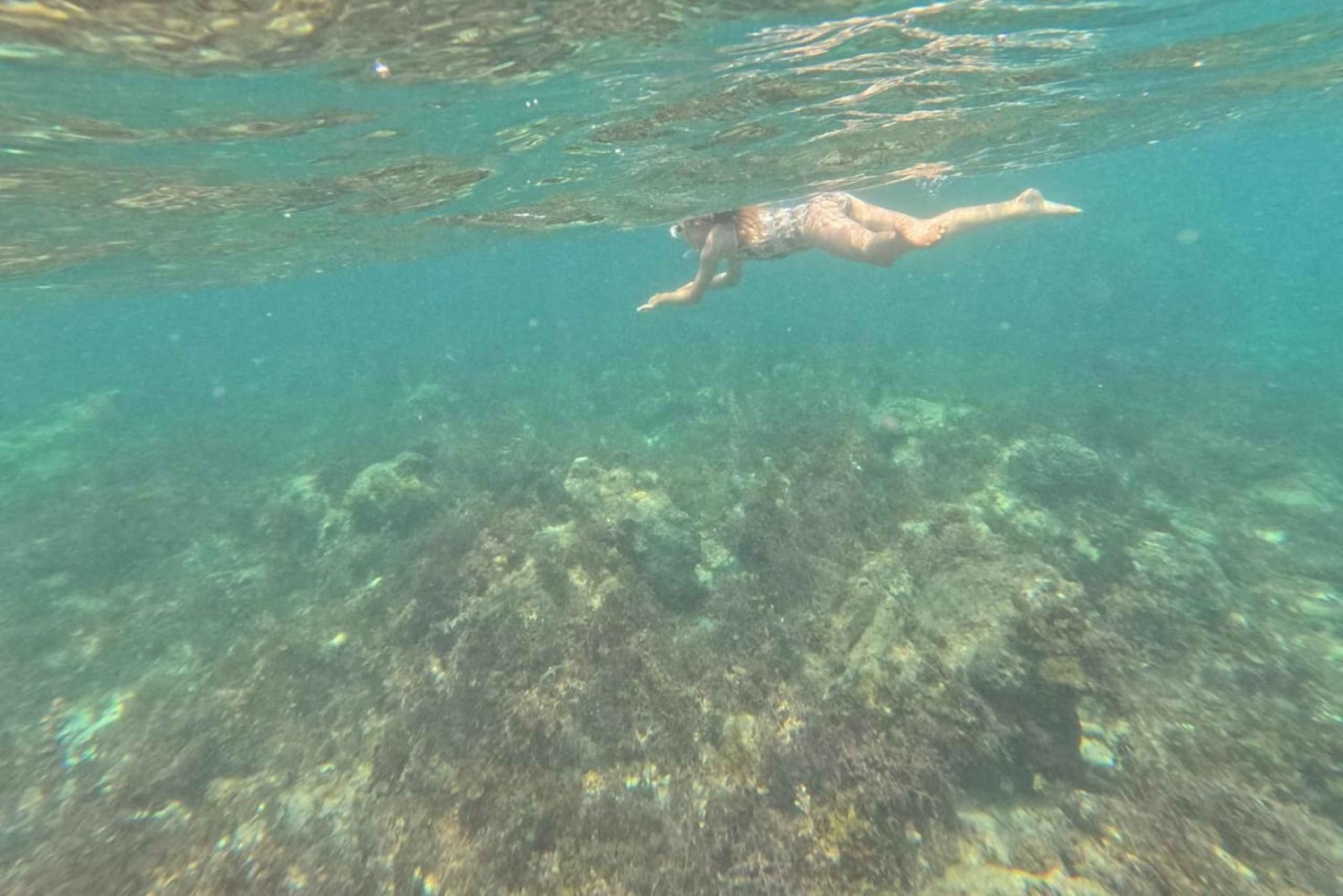 Diani Beach: Tagestour zum Kisite Marine Park & zur Insel Wasini