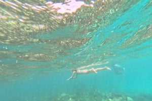 Diani Beach: Tagestour zum Kisite Marine Park & zur Insel Wasini