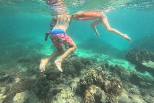 Diani Beach: Tagestour zum Kisite Marine Park & zur Insel Wasini