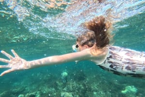 Diani Beach: Tagestour zum Kisite Marine Park & zur Insel Wasini