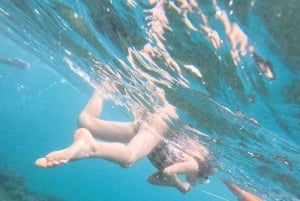 Diani Beach: Tagestour zum Kisite Marine Park & zur Insel Wasini