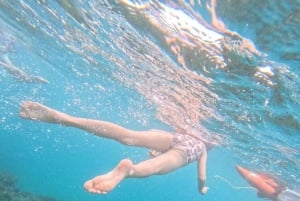 Diani Beach: Tagestour zum Kisite Marine Park & zur Insel Wasini