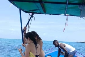 Diani Beach: Tagestour zum Kisite Marine Park & zur Insel Wasini