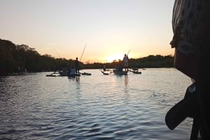 Diani Beach: Kongo-joen auringonlasku kokemus kanootilla.