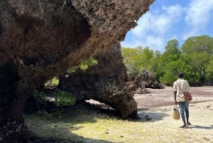 Diani Beach: Private African Pool Map Guided Tour