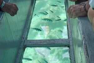 Diani Beach: boottocht met glazen bodem naar Robinson Island met snorkelen