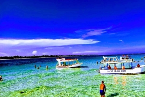 Diani Beach: boottocht met glazen bodem naar Robinson Island met snorkelen