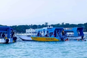 Diani Beach: boottocht met glazen bodem naar Robinson Island met snorkelen