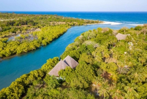 Diani Beach: Sunset Dhow Cruise with Dinner