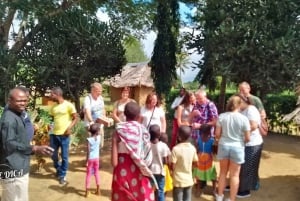 Circuit dans la brousse de Diani