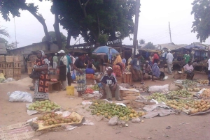 Экскурсия по Диани Буш