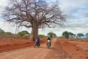 Diani: tour en moto todoterreno, reserva de Rukinga, fauna y ruta de senderismo