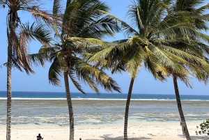 Diani: Ganztagestour mit Guide in Tiwi Beach & Diani