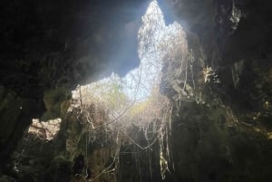 Diani: Ganztagestour mit Guide in Tiwi Beach & Diani