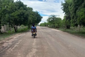 Diani: Ganztagestour mit Guide in Tiwi Beach & Diani