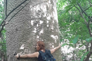 Diani: Ganztagestour mit Guide in Tiwi Beach & Diani