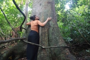 Diani: Kaya Coastal Culture Walk