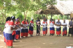 Diani: Kaya Coastal Culture Walk