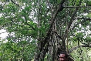Diani: bosque sagrado de Kaya Kinondo y bahía de Gazi