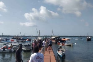 Diani: Kisite Mpunguti Marine Park with Lunch
