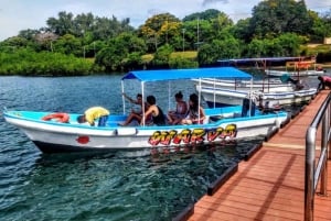 Diani: Kisite Mpunguti Marine Park with Lunch
