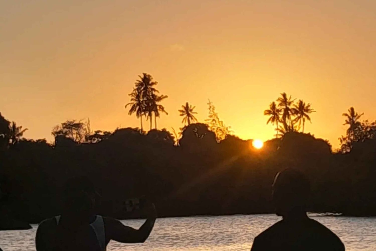 Diani: Kongo-Fluss, Mangroven-Sonnenuntergangsfahrt & afrikanischer Kartenpool
