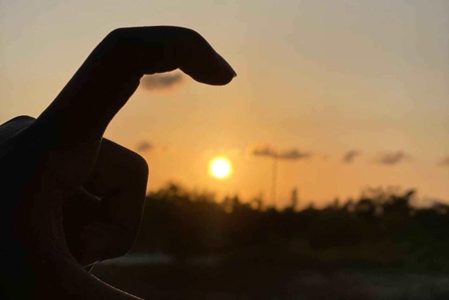 Diani: Kanotur i solnedgangen på Kongo-elven med henting på hotellet