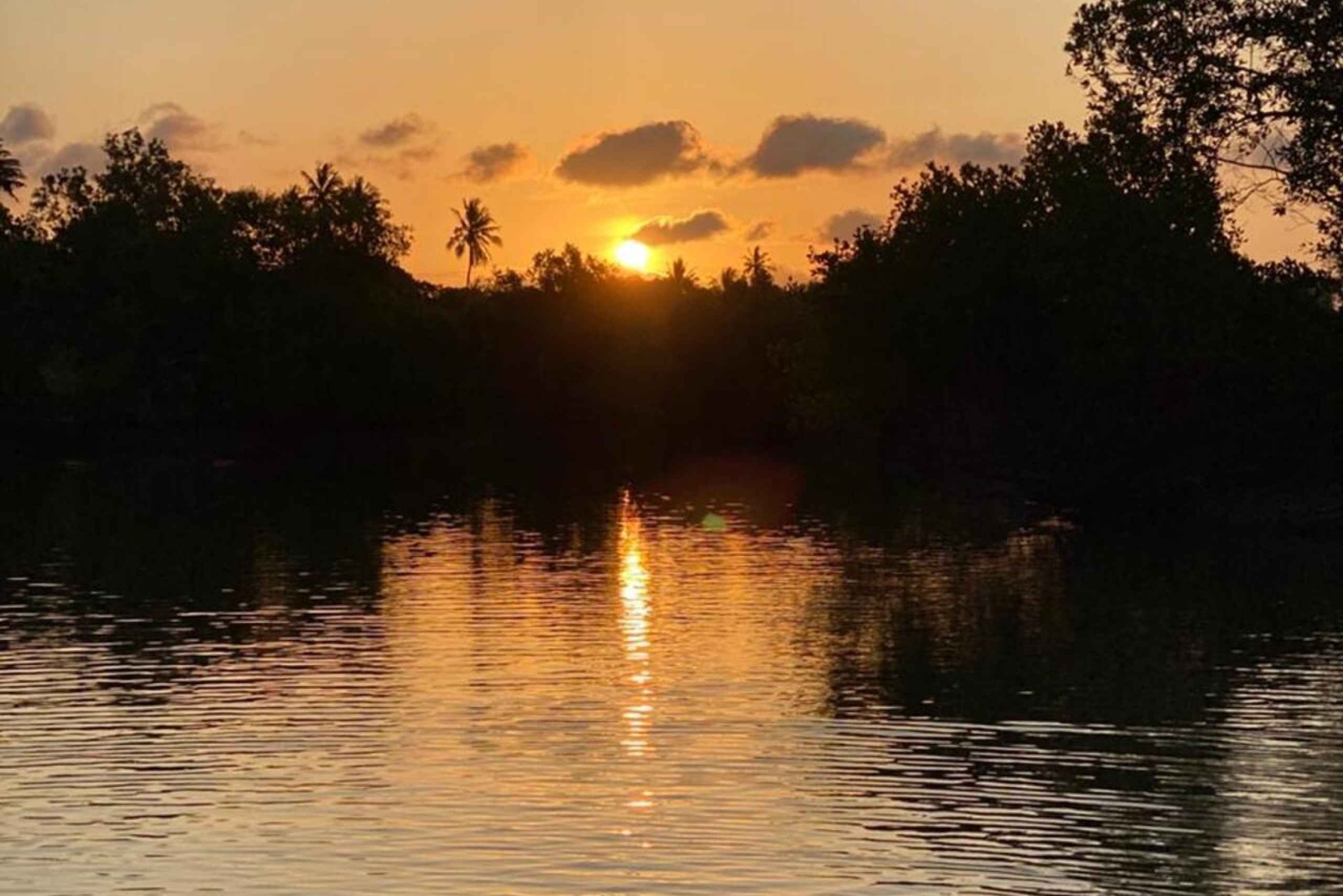 Diani: Kanotur i solnedgangen på Kongo-elven med henting på hotellet