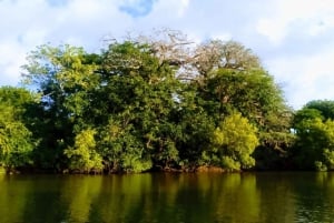 Diani: Passeio de canoa ao pôr do sol no rio Kongo com serviço de busca no hotel