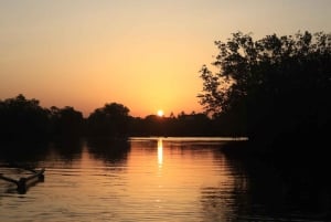 Diani: Passeio de canoa ao pôr do sol no rio Kongo com serviço de busca no hotel