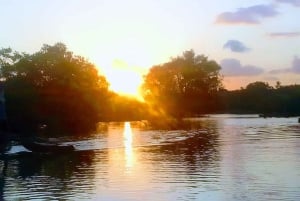 Diani: Passeio de canoa ao pôr do sol no rio Kongo com serviço de busca no hotel