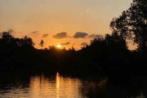 Diani: Passeio de canoa ao pôr do sol no rio Kongo com serviço de busca no hotel