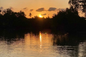 Diani: Kanotur i solnedgangen på Kongo-elven med henting på hotellet