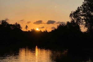 Diani: Kanotur i solnedgangen på Kongo-elven med henting på hotellet