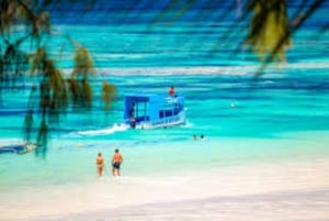 Diani: Robinson Island Glass-Bottom Boat Tour