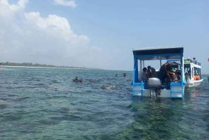 Diani: Robinson Island Glass-Bottom Boat Tour