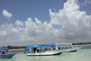 Diani: Robinson Island Glass-Bottom Boat Tour
