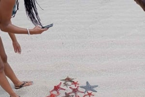 Diani: Robinson Island Glass-Bottom Boat Tour